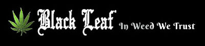 Логотип Black Leaf