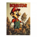 Полянка Bongstar Mario vol.3